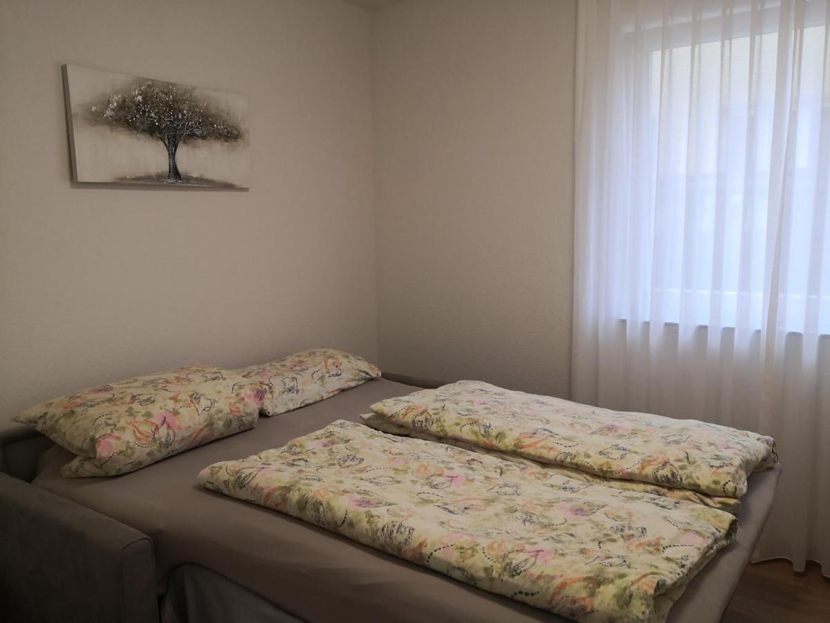 Ferienwohnung Am Berg Braunlingen ภายนอก รูปภาพ